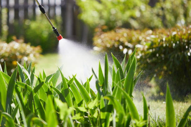 24/7 Emergency Cockroach Control experts in Shawnee, OK