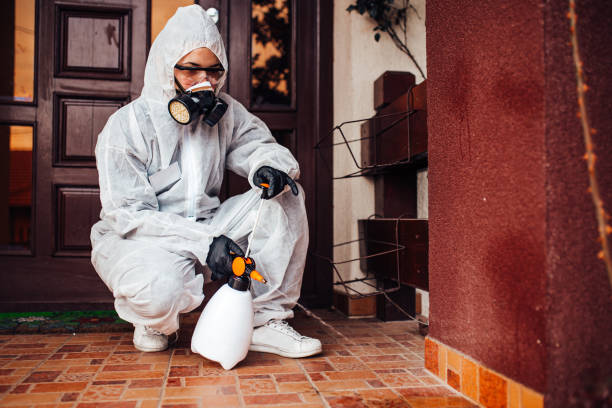Reliable Cockroach Control contractor in Shawnee, OK by Nex Pest Control